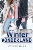 Winter Wonderland (eBook, ePUB)