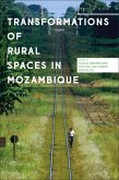Transformations of Rural Spaces in Mozambique (eBook, ePUB)