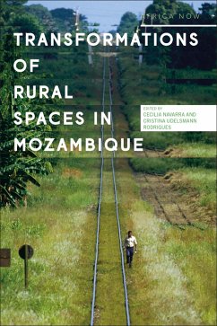 Cover Transformations of Rural Spaces in Mozambique (eBook, ePUB)