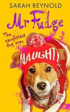 Cover Mr Fudge (eBook, ePUB)