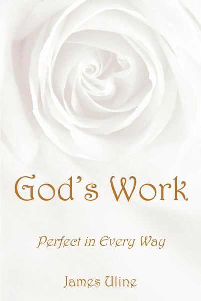 God's Work (eBook, ePUB) God's Work (eBook, ePUB)