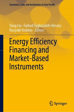 Energy Efficiency Financing and Market-Based Instruments (eBook, PDF)