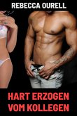 Hart erzogen vom Kollegen (eBook, ePUB)