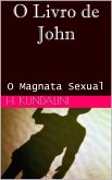 O Livro de John (eBook, ePUB)