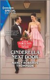 Cinderella Next Door (eBook, ePUB)