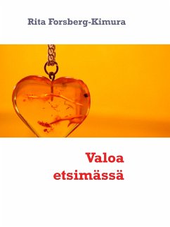 Valoa etsimässä (eBook, ePUB)