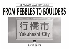 From Pebbles to Boulders (eBook, ePUB)