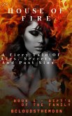 HOUSE OF FIRE (eBook, ePUB)