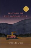 Haying in the Moonlight (eBook, ePUB)