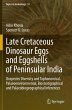 Late Cretaceous Dinosaur Eggs and... - Bild 1