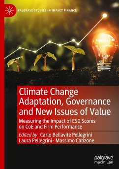 Climate Change Adaptation, Governance and New Issues of Value