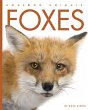 Foxes - Bild 1