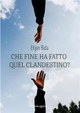 Che fine ha fatto quel clandestino? (eBook, ePUB)