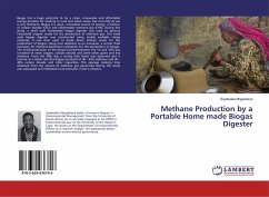 Methane Production by a Portable Home made Biogas Digester - Mngxekeza, Siyabulela