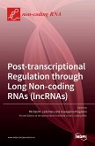 Post-transcriptional Regulation through Long Noncoding RNAs (lncRNAs)