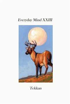Everyday Mind XXIII - Tekkan