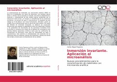 Inmersión invariante. Aplicación al microanálisis - Figueroa, Carlos Miguel