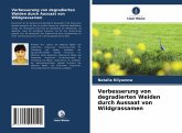 Verbesserung von degradierten Weiden durch Aussaat von Wildgrassamen