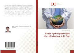 Etude hydrodynamique d'un bioréacteur à lit fixe - Berrehrah, Zouina