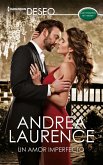 Un amor imperfecto (eBook, ePUB)