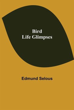 Bird Life Glimpses - Selous, Edmund