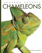 Chameleons - Bild 1