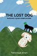 The Lost Dog befriends a green-tailed... - Bild 1
