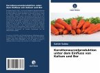 Karottenwurzelproduktion unter dem Einfluss von Kalium und Bor