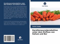 Karottenwurzelproduktion unter dem Einfluss von Kalium und Bor - Subba, Satish
