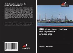 Ottimizzazione cinetica del digestore anaerobico - Rajaram, Supriya