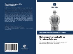 Untersuchungshaft in Strafverfahren - Landazuri Cortez, Johnny Fabricio