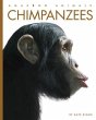 Chimpanzees - Bild 1