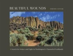 Cover Beautiful Wounds
