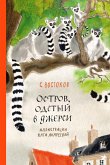 Остров, одетый в джерси (eBook, ePUB)