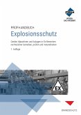 Prüfhandbuch Explosionsschutz (eBook, ePUB)