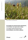Die Orchideen des Schweizerischen Nationalparks, der Val Müstair und angrenzender Gebiete (eBook, PDF)