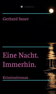 Eine Nacht. Immerhin. (eBook, ePUB) - Sauer, Gerhard