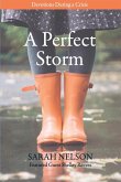 A Perfect Storm