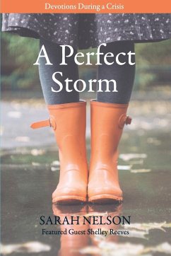 A Perfect Storm - Nelson, Sarah