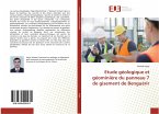 Etude géologique et géominière du panneau 7 de gisement de Benguérir