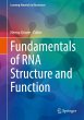 Fundamentals of RNA Structure and... - Bild 1