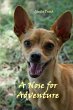 A Nose for Adventure - Bild 1