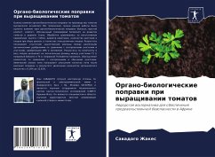 Organo-biologicheskie poprawki pri wyraschiwanii tomatow - Zhakes, Sawadogo