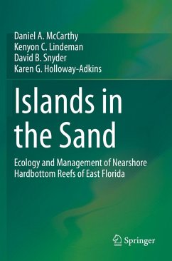 Cover Islands in the Sand