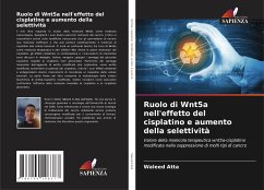 Ruolo di Wnt5a nell'effetto del cisplatino e aumento della selettività - Atta, Waleed