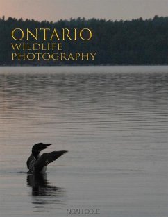 Ontario Wildlife Photography - Cole, Noah