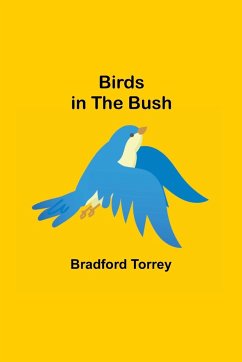 Birds in the Bush - Torrey, Bradford