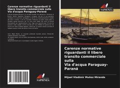 Carenze normative riguardanti il libero transito commerciale sulla Via d'acqua Paraguay-Paraná - Muñoz Miranda, Mijael Vladimir