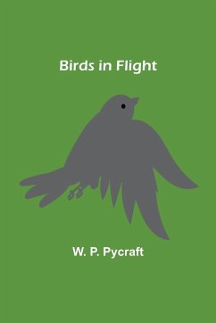 Birds in Flight - P. Pycraft, W.