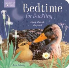 Bedtime for Duckling - Hepworth, Amelia